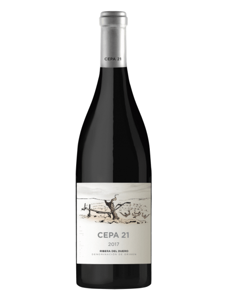 CEPA 21 2017 75 CL. CEPA 21 2017 75 CL.