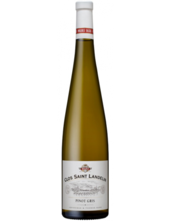 MURÉ CLOS SAINT LANDELIN   PINOT GRIS GC VORBOURG 2016