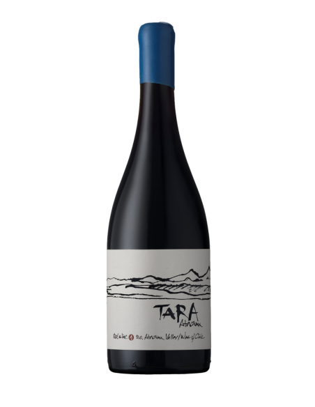 TARA   PINOT NOIR 2019