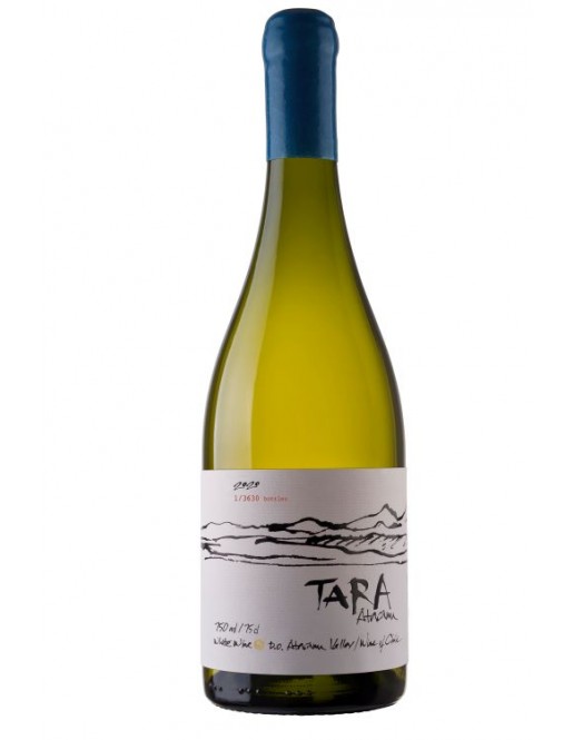 TARA   SAUVIGNON BLANC 2021
